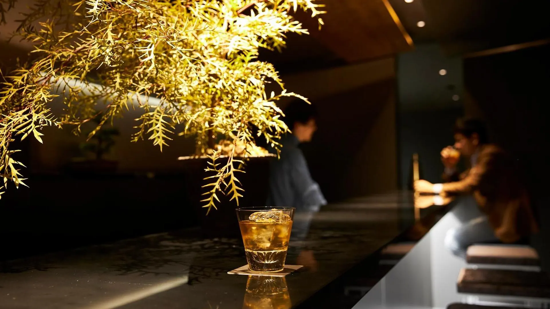 Mogana Hotel Kyoto Japan