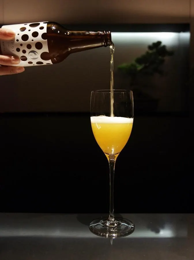 Mogana Hotel Kyoto 5*,  Japan